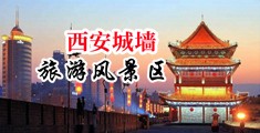日逼Tv中国陕西-西安城墙旅游风景区