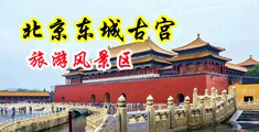 看逼操逼毛片中国北京-东城古宫旅游风景区